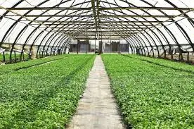 SOLUTIONS FOR INDIA AGRICULTURE IMAGE VIEW