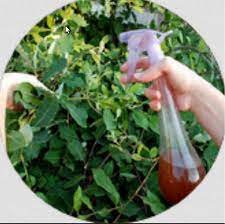 BUY COMPOST TEA ONLINE