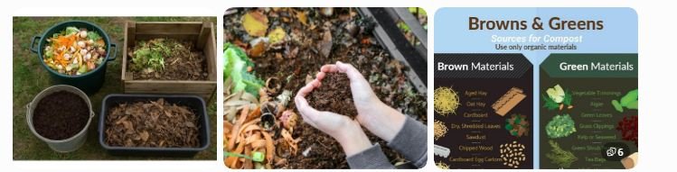 Organic materials collected for vermicompost production.

Farm and kitchen waste used in vermicomposting.