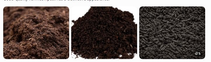 what is vermicompost? What does vermicompost look like? Dark crumbly vermicompost with fine organic texture. Finished vermicompost showing rich organic matter.