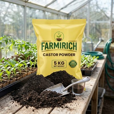 Castor cake powder is a natural organic fertilizer widely used in agriculture, gardening, and sustainable farming practices.