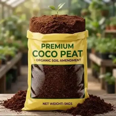 Buy Best Cocopeat online In Bangalore for Gardening